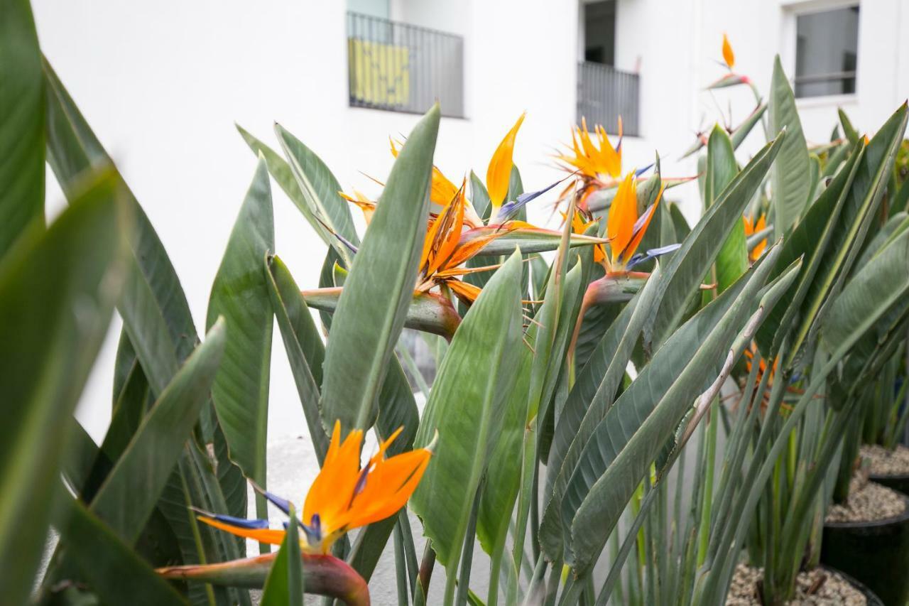 Lisbon Downtown Apartment Free Parking Bagian luar foto